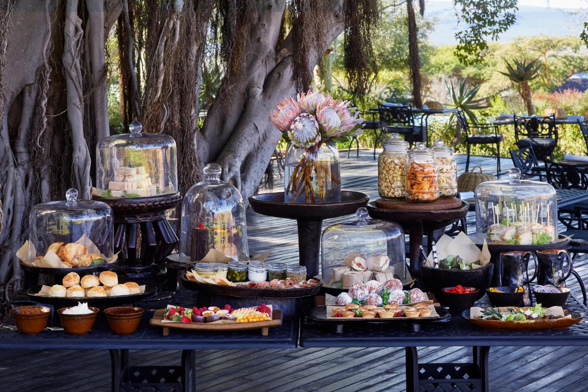 Bushmans Kloof Wilderness Reserve And Wellness Retreat Clanwilliam Εξωτερικό φωτογραφία